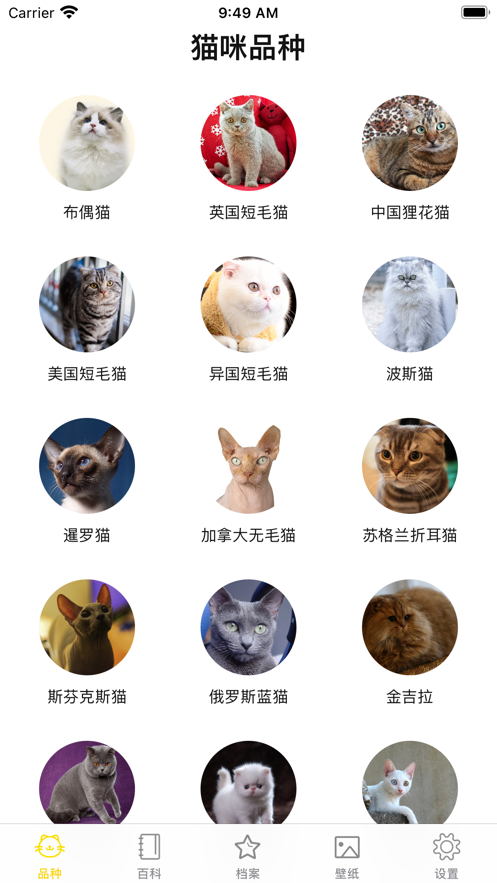 貓貓生活圈截圖