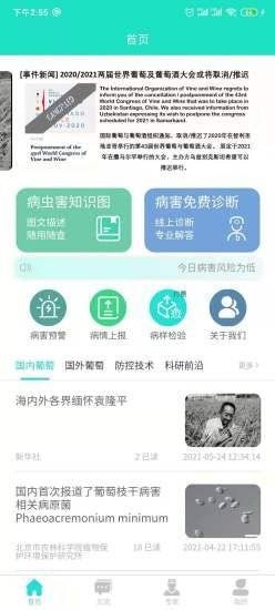 葡萄醫生截圖