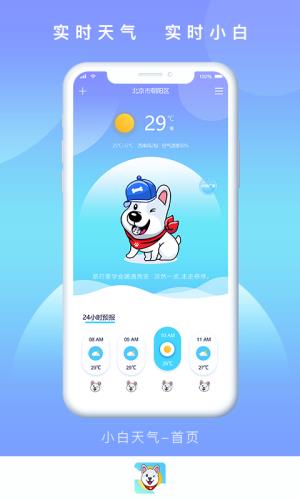 小白天氣截圖