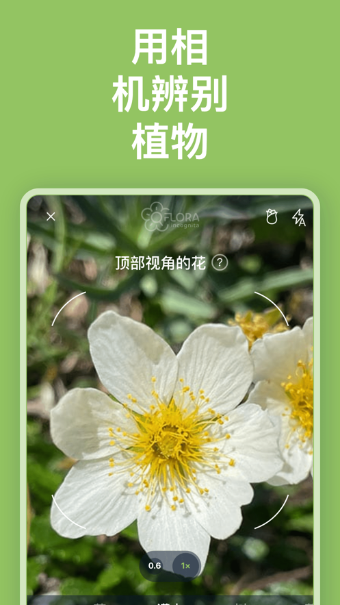 Flora Incognita截圖