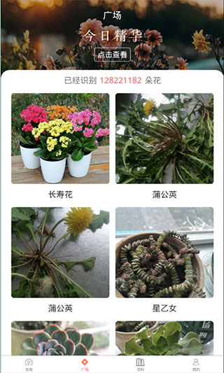 識花君植物識別截圖
