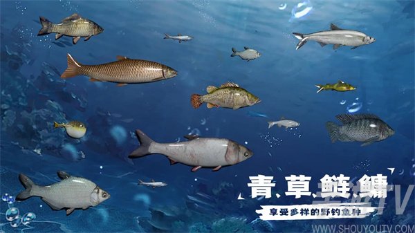 天天釣魚怎麼刷龍玉 天天釣魚速刷龍玉技巧分享