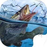 天天釣魚兌換碼