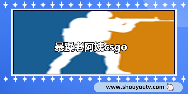 暴躁老阿姨csgo