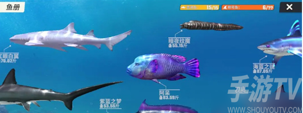 歡樂釣魚大師全部魚類圖鑒攻略 歡樂釣魚大師圖鑒最後一條魚長什麼樣 