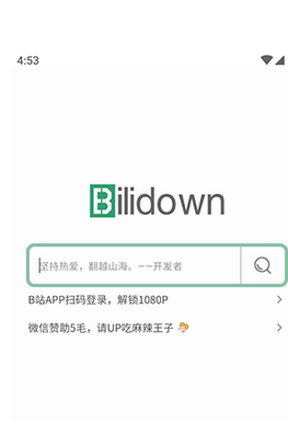 BiliDown截圖