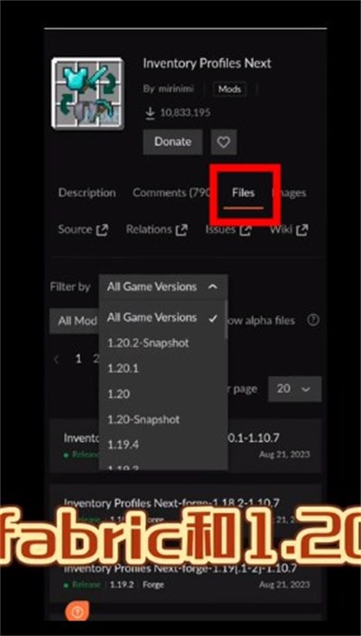 fcl啟動器1.1.7.4