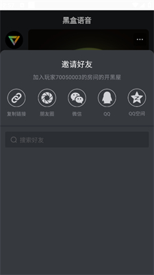 黑盒語音手機版