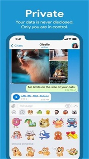 紙飛機Telegram正式版截圖