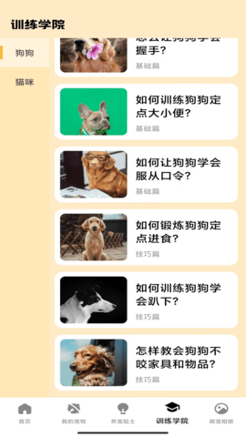 家有萌寵